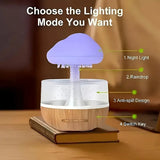RainyDrop Humidifier